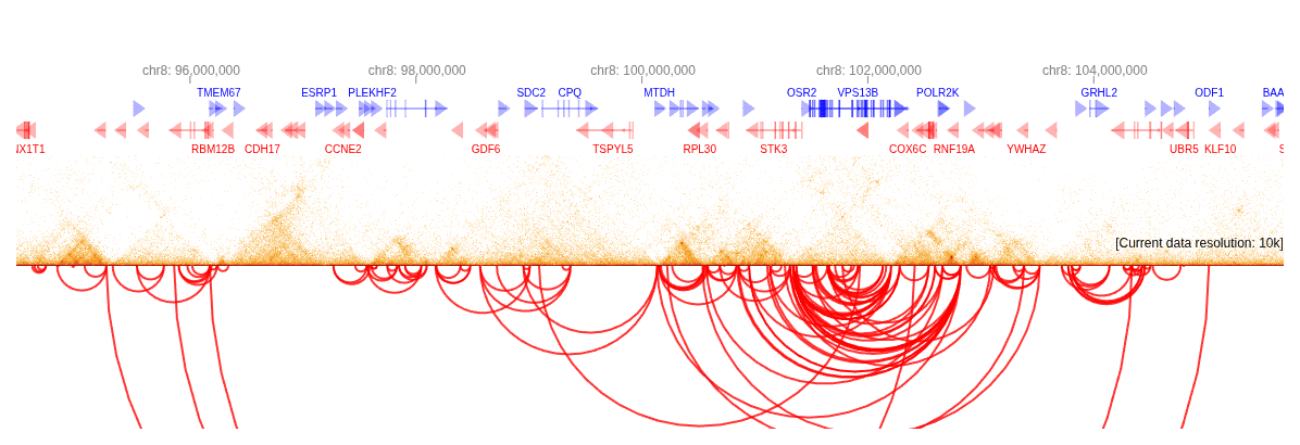 HiGlass Visualization